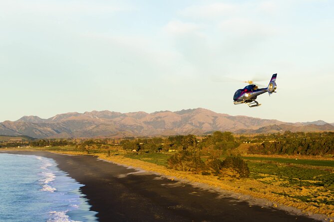 Kaikoura Helicopters Extended Whale Watch - Searching for sperm whales