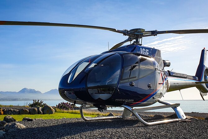 Kaikoura Helicopters Extended Whale Watch - What the pilot adds to the experience