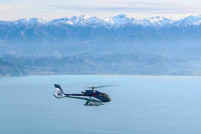 Kaikoura Helicopters Extended Whale Watch - Is $313.39 good value?
