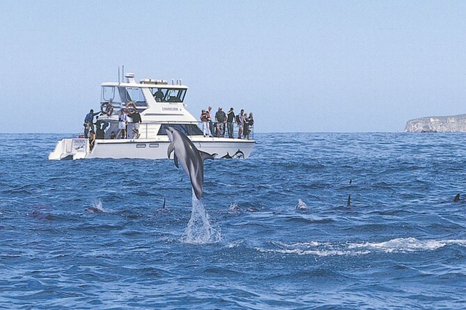 Kaikoura Whale and Dolphin Overnight Tour from Christchurch - Why this Kaikoura overnight trip works