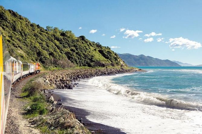 Kaikoura Whale Watch Day Tour from Christchurch including Coastal Pacific Train - The 6:15am start from Christchurch