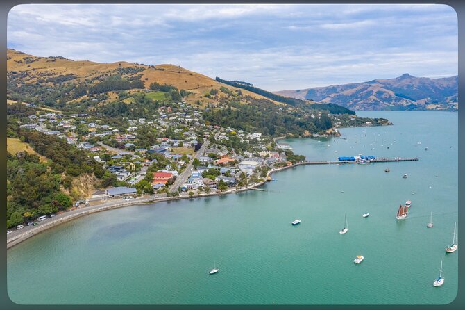 Kaikoura Whale Watch Day Tour from Christchurch including Coastal Pacific Train - The whale-watching cruise