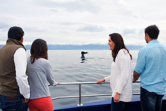 Kaikoura Whale Watch Day Tour from Christchurch - The 7:00 am pickup and North Canterbury drive
