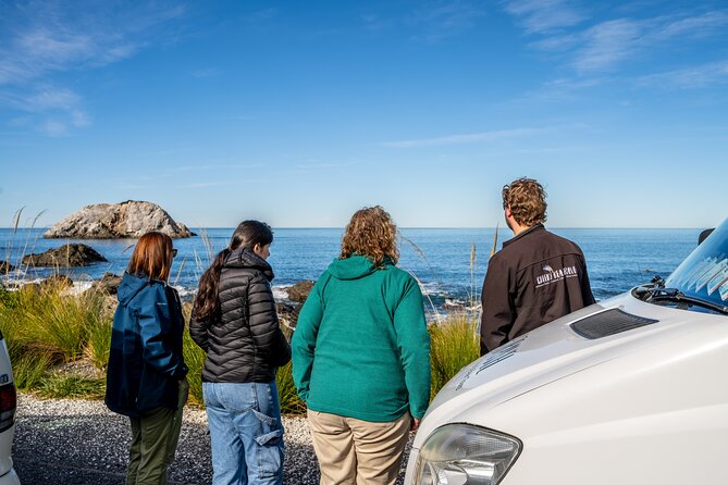Kaikoura Whale Watch Tour from Christchurch - Small Group - Four hours on the whale watching vessel