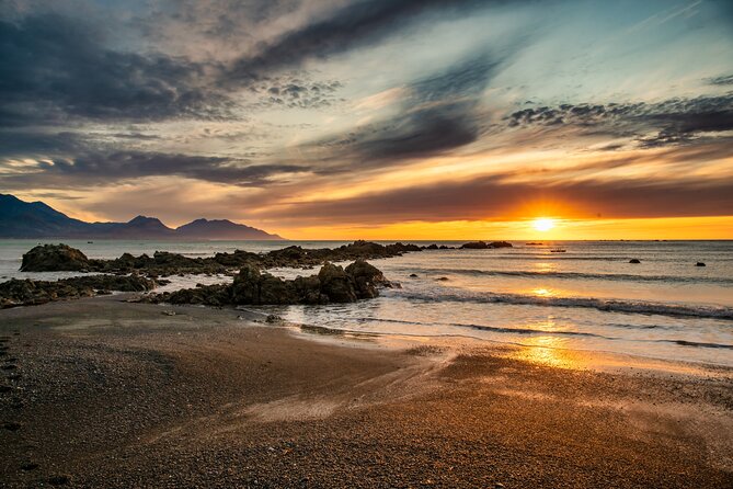 Kaikoura Whale Watch Tour from Christchurch - Small Group - Waipara wine when the timing works