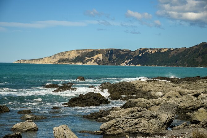Kaikoura Whale Watch Tour from Christchurch - Small Group - The guide can shape the entire day