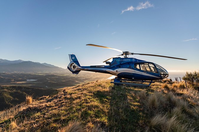 Kaikoura Whale Watching - 45 Minute Ocean Safari - How much value do you get for $511.97?