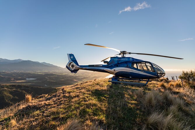 Kaikoura Whale Watching - 45 Minute Ocean Safari - Who will enjoy this most?