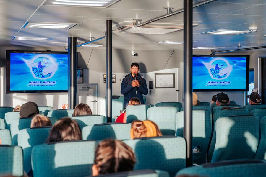 Kaikoura: Whale Watching Cruise - A modern catamaran with room to move