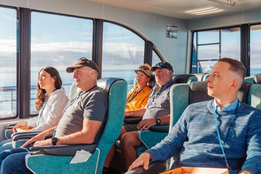 Kaikoura: Whale Watching Cruise - Who should book this cruise?