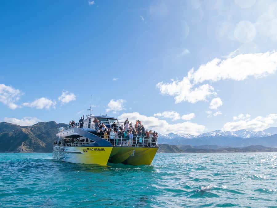 Kaikoura: Whale Watching Cruise - Check-in, transfer, and the first part of the cruise