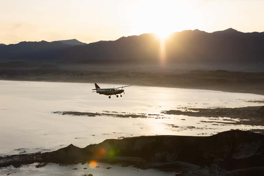 Kaikoura: Whale Watching Flight with Commentary - Why seeing Kaikoura from the air matters