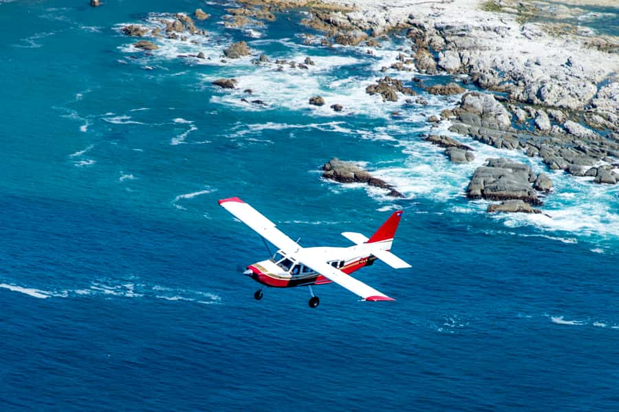 Kaikoura: Whale Watching Flight with Commentary - Commentary from pilots who make the flight work