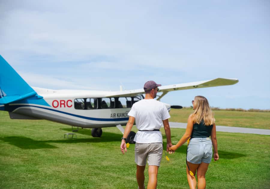 Kaikoura: Whale Watching Flight with Commentary - The scenery is more than a consolation prize