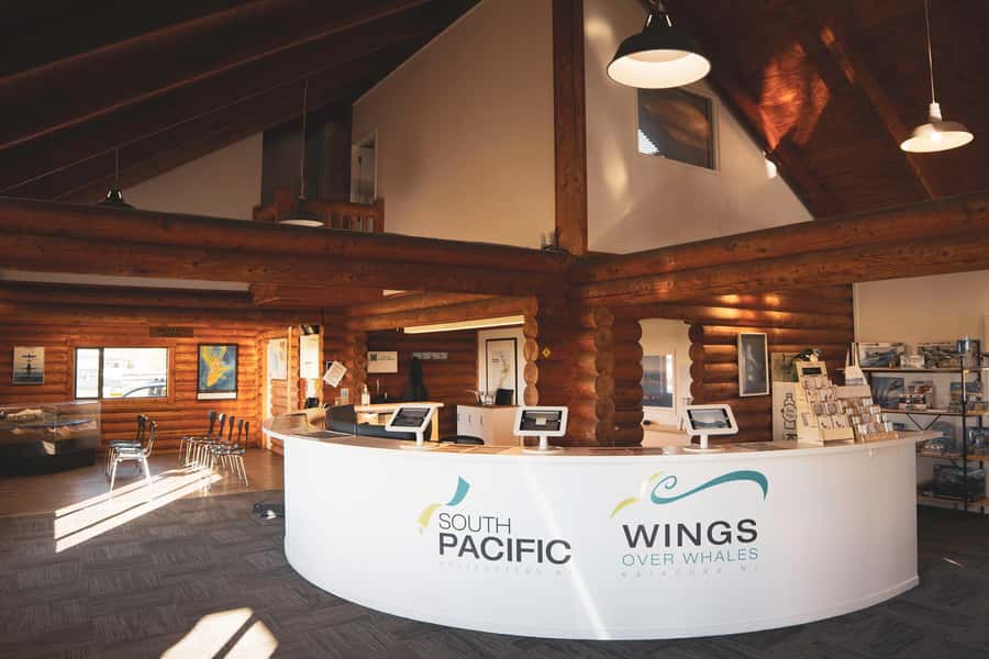 Kaikoura: Whale Watching Flight with Guided Commentary - Pilots who explain more than the scenery
