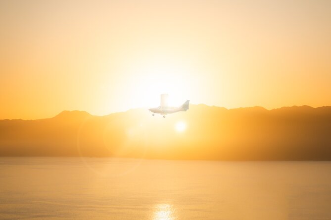Kaikōura Whale Watching Scenic Flight (40 Minutes) - Check-in at Kaikōura Airport