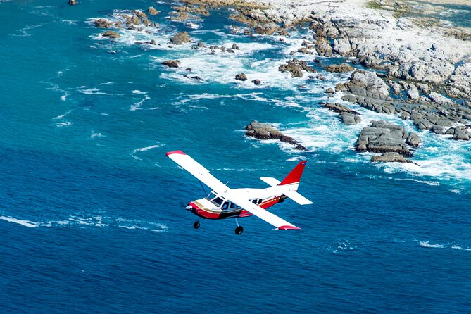 Kaikōura Whale Watching Scenic Flight (40 Minutes) - The mountain and coastal views are not filler