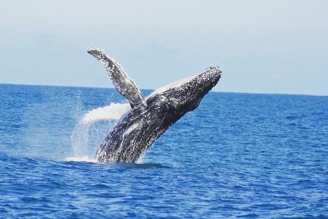 Kalbarri Whale Watching Tour Guided - Setting out from Kalbarri Maritime Facility