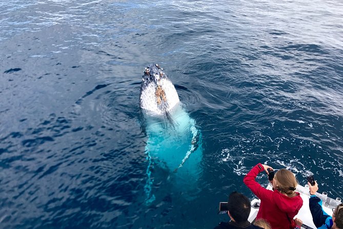 Kalbarri Whale Watching Tour Guided - The 2.5-hour route through Gantheaume Bay