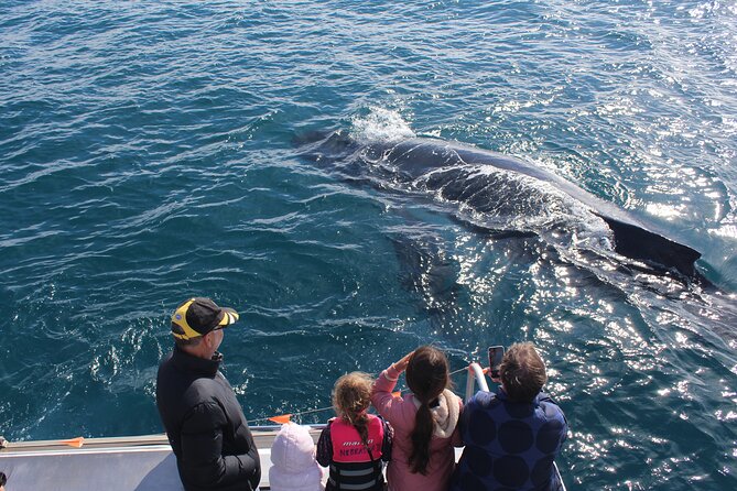 Kalbarri Whale Watching Tour - The 150-Minute Cruise Along Kalbarri’s Coast