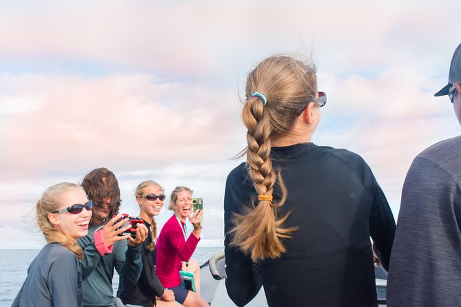 Kauai Raft Adventure: Whale Watch Discovery - A two-hour whale search from Eleele