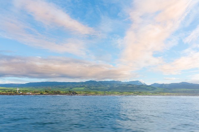 Kauai Raft Adventure: Whale Watch Discovery - How the $106.27 price measures up