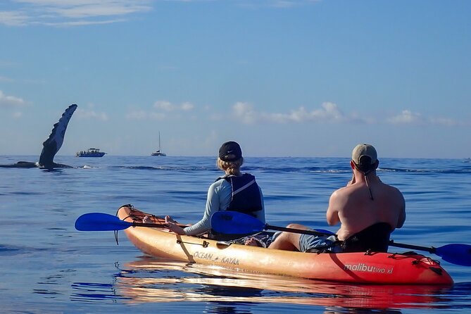 Kayak and Whale Watching Tour - How physically demanding is it?