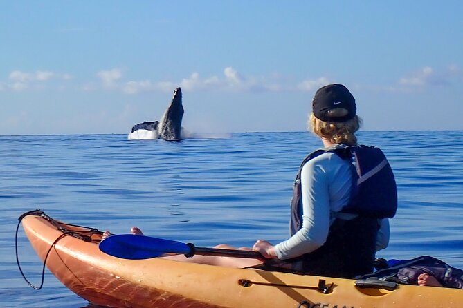 Kayak and Whale Watching Tour - Meeting at Makena Landing Park at 7:00 am