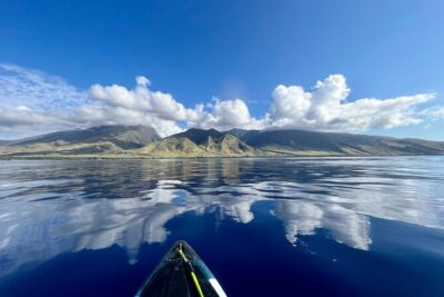 Kayak & Turtle Town Snorkel(Turtles Guaranteed) + Whale Watching