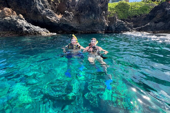 Kayak & Turtle Town Snorkel(Turtles Guaranteed) + Whale Watching - What the guides add