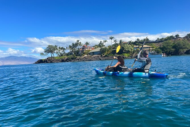 Kayak & Turtle Town Snorkel(Turtles Guaranteed) + Whale Watching - Weather, cancellations, and planning advice
