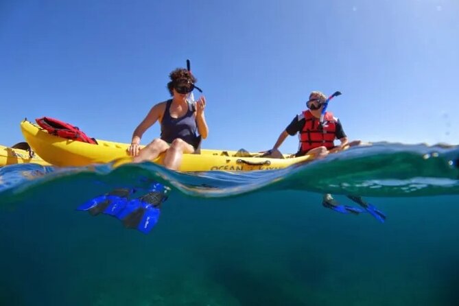 Kayak, Whale Watch and Snorkel - Key points to know before booking