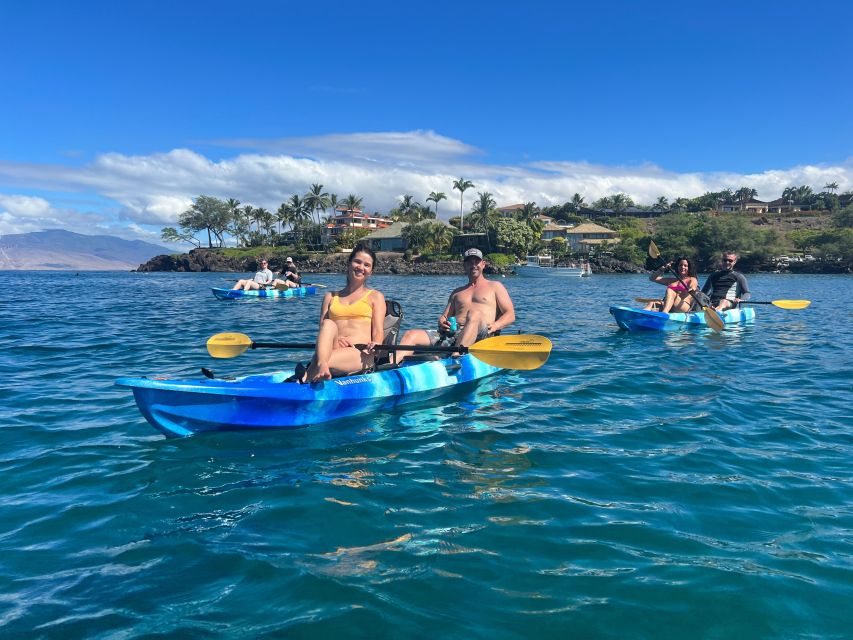 Kayak, Whale Watch And Snorkel At Turtle Town - The final call
