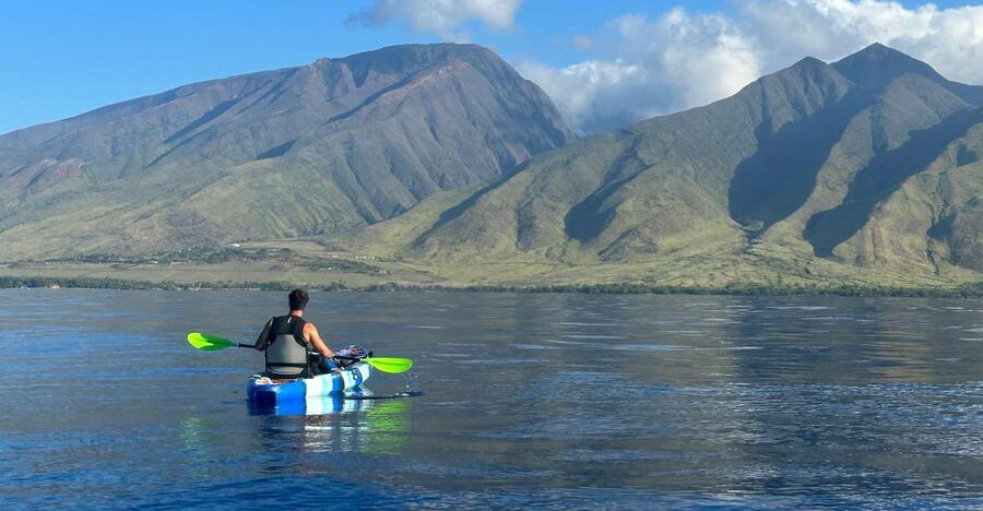 Kayak, Whale Watch And Snorkel At Turtle Town - Paddling above reef and sand channels