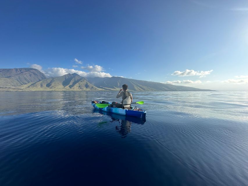 Kayak, Whale Watch And Snorkel At Turtle Town - Whale watching from the water