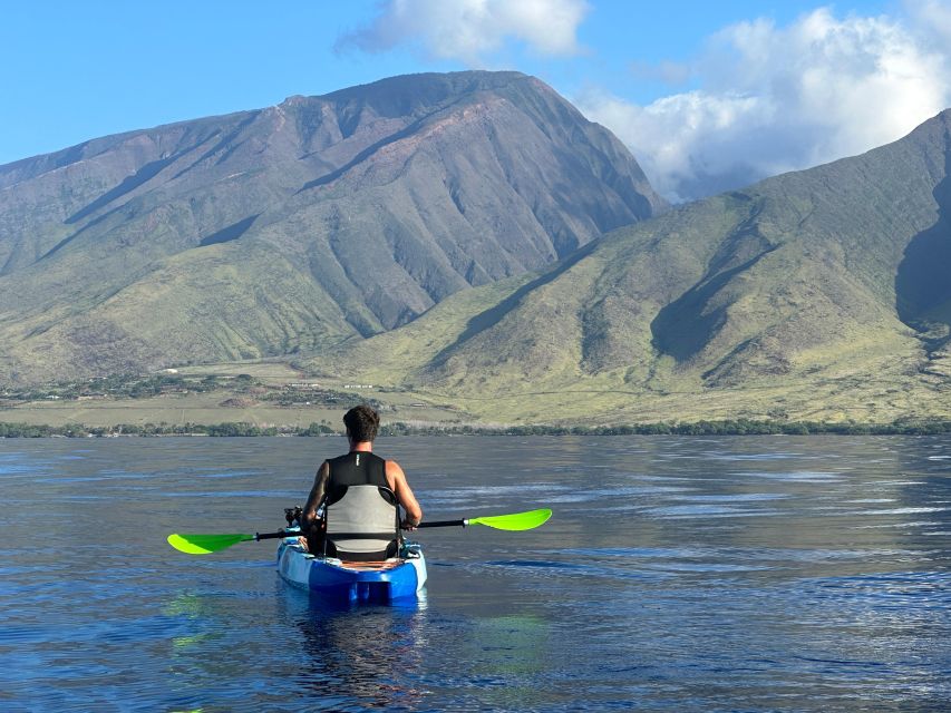 Kayak, Whale Watch And Snorkel At Turtle Town - A small company with a hands-on feel