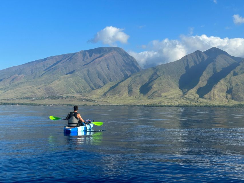 Kayak, Whale Watch And Snorkel At Turtle Town - Kayaks built for a three-hour outing