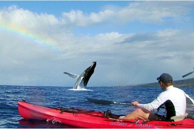 Kayak, Whale Watch and Snorkel - Kayaking across Olowalu Reef
