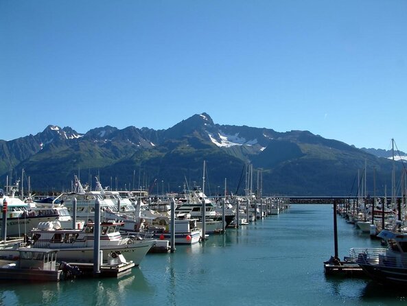 Kenai Fjords Orca Quest Cruise - Key points to know before booking