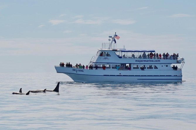 Kenai Fjords Orca Quest Cruise - Leaving Seward at 12:30 p.m.