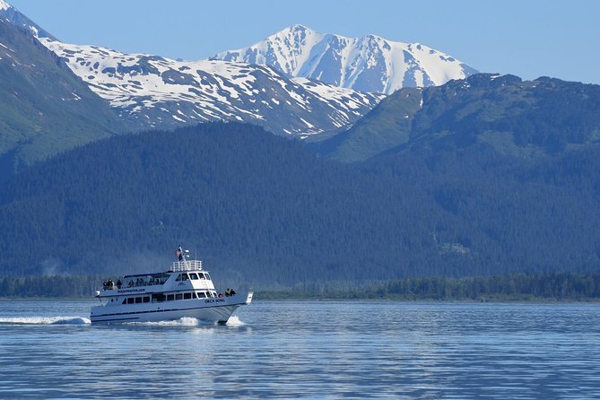 Kenai Fjords Orca Quest Cruise - What orca sightings can really look like
