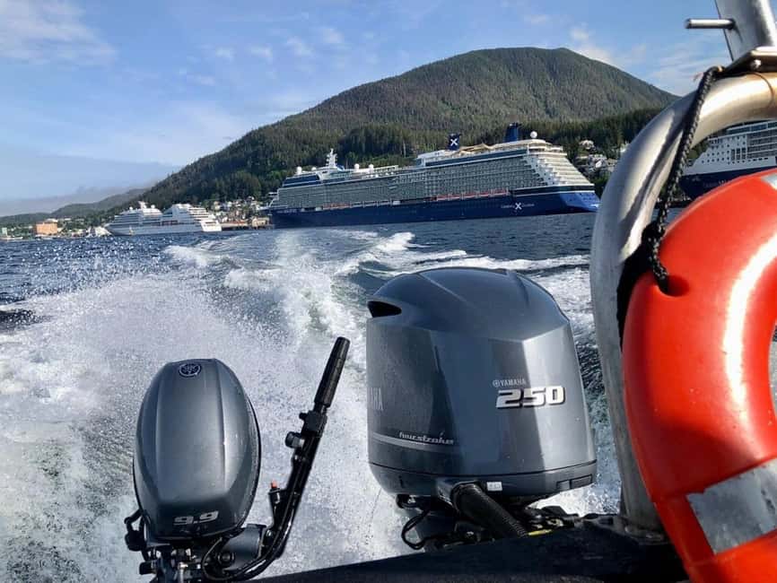 Ketchikan: Orca Cove Fast Boat and Sea Kayak Tour - Smoked salmon, hummus, and a warm break