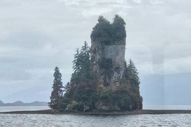 Ketchikan Whale Watching and Nature Tour - The private boat changes the pace