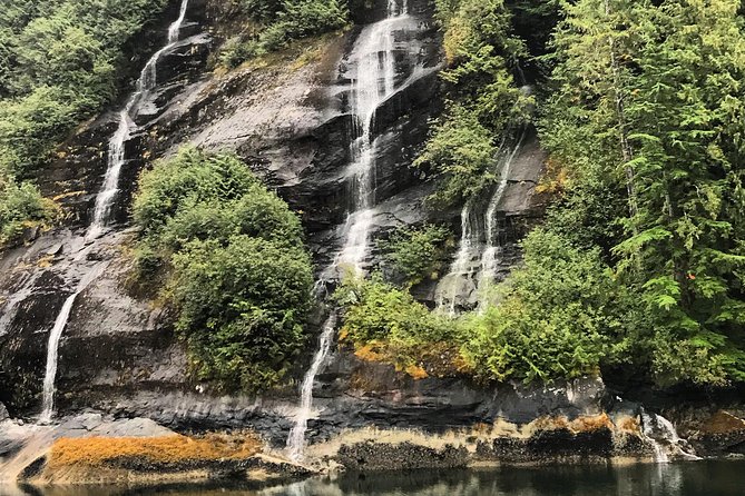 Ketchikan Whale Watching and Nature Tour - Four hours of landmarks, photos, and wildlife watching