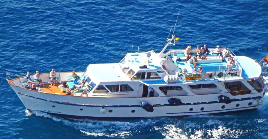 La Gomera: Whale Watching Tour on an Dynamic Boat - Setting out from Playa Santiago or Valle Gran Rey