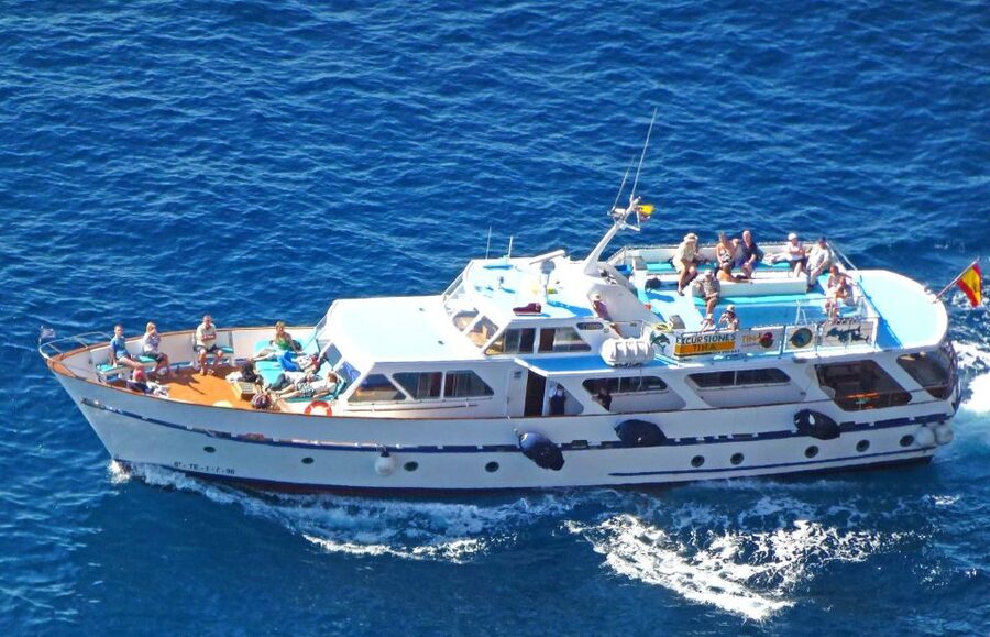 La Gomera: Whale Watching Tour on an Dynamic Boat - The Silbo and what the small boat means