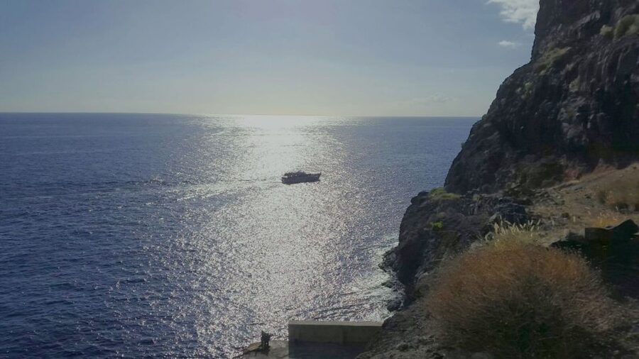 La Gomera: Whale Watching Tour on an Dynamic Boat - Timing, meeting points, and return