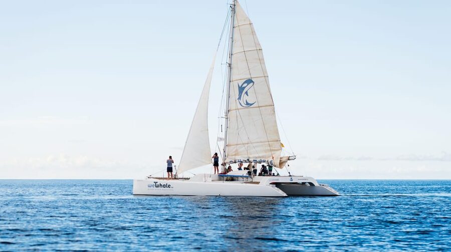 Lanzarote: Whale and Dolphin Watching Eco-Friendly Catamaran - Choosing the right season and weather