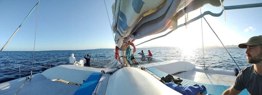 Lanzarote: Whale and Dolphin Watching Eco-Friendly Catamaran - Who will enjoy this experience most