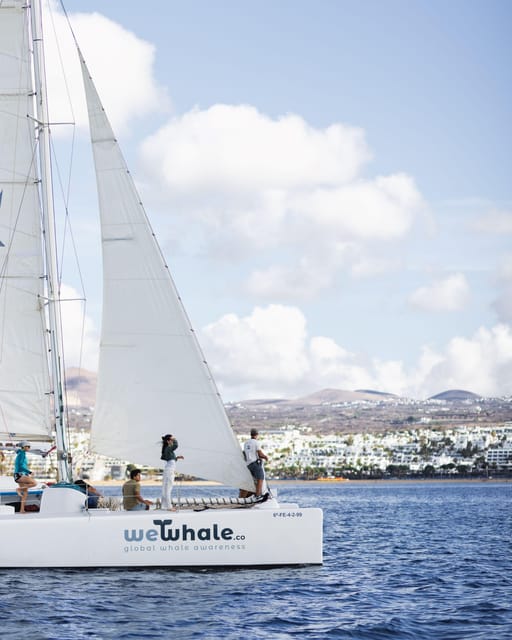 Lanzarote: Whale and Dolphin Watching Eco-Friendly Catamaran - Should you book the Puerto Calero whale tour?